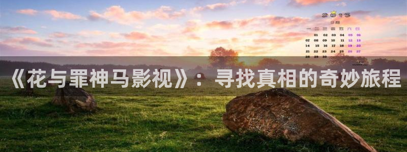 午夜宅男视频免费观看