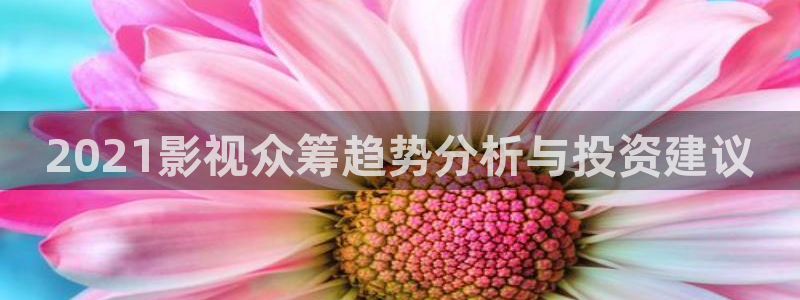 美女午夜电影三区